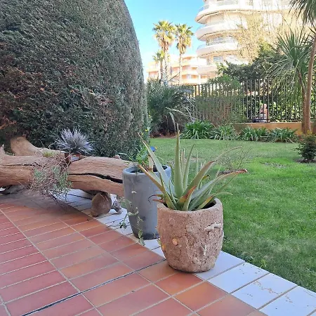 Pieds Dans L'eau - - Acapulco Apartamento